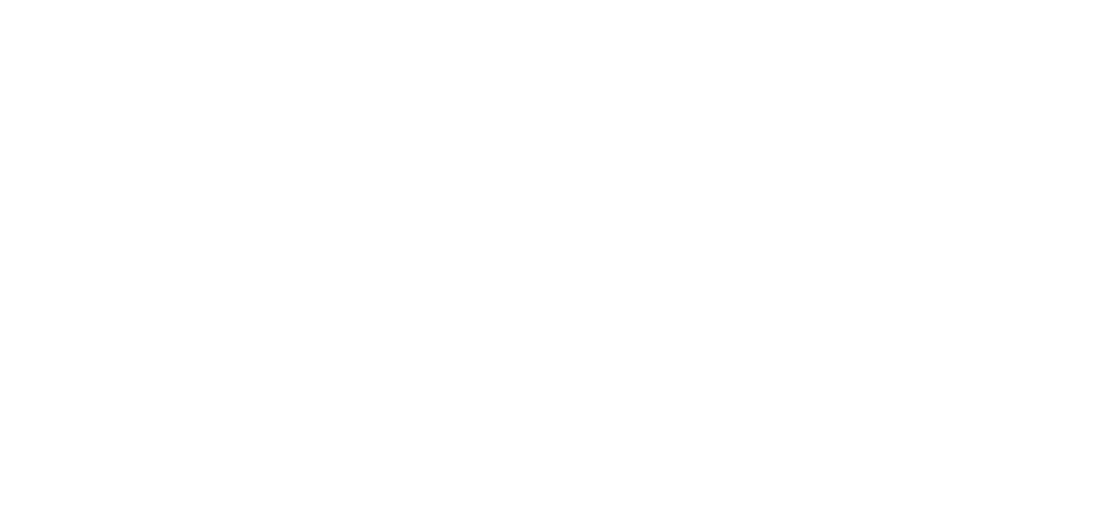 qartvizit